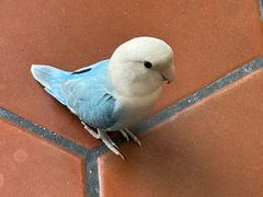 -亚忠小吃店(曾厝垵店)