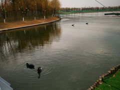 -孔子六艺文化园