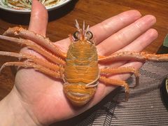 -一本料理(西溪天街店)