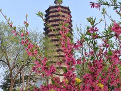 -西海子公园