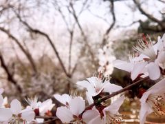 -颐和园