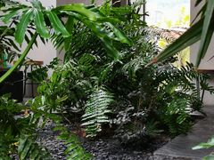-漫笙舍Manse·咖啡·民宿