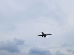 -空港花田景区