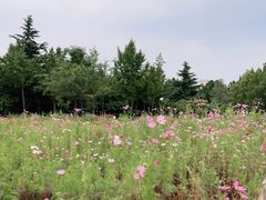 -济南国际园博园