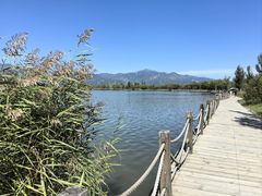 -野鸭湖国家湿地公园