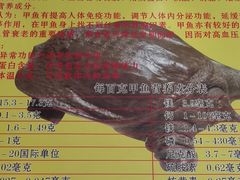 -大圣甲(汉口店)