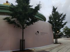 -迪士尼乐园停车场