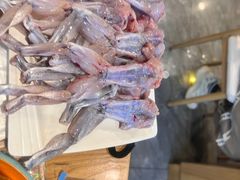 -铭记蛙小仙·活蛙畅享(CBD万达广场店)