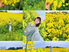 -营地公园·团建拓展·亲子户外(奉贤店)