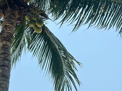 -三亚太阳湾柏悦酒店