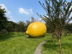 -顺峰山公园