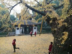 -无锡惠山寺