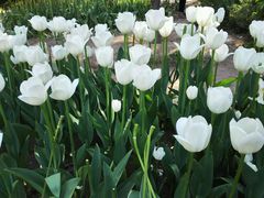 android_upload_pic-景山公园