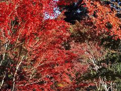 -醍醐寺