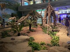 -自贡恐龙博物馆