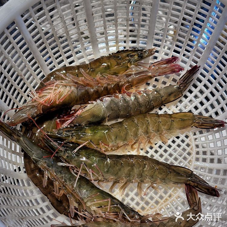 北京巨好吃的蒸汽海鲜🦞不火天理不容！！