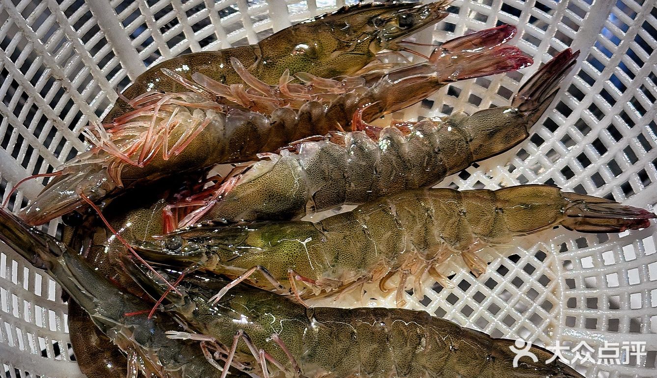 北京巨好吃的蒸汽海鲜🦞不火天理不容！！