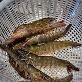 北京巨好吃的蒸汽海鲜🦞不火天理不容！！
