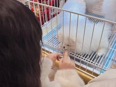 -丽达购物中心(崂山店)