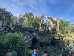 -奥兰多迪士尼动物王国乐园