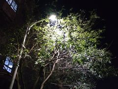 -太元彭家正汤(太元路总店)