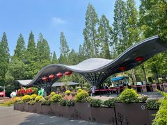 -东平国家森林公园