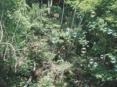 -梁野山景区