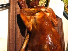 -JUKEBOX玖部音乐餐厅(华侨城店)