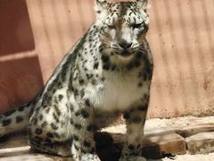 -青藏高原野生动物园