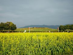 -光明小镇欢乐田园