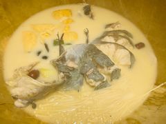 -滇小鱼·云南野生菌火锅(上杭路店)