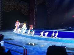 -珠海横琴长隆《卡卡虎奇遇记》