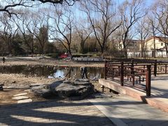 -玲珑塔公园