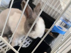-小意思咖啡店(草桥店)