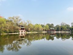 -棠湖公园