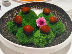 -鹿园 MOOSE(长宁店)