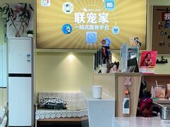 -派联宠物医院·24h·CT·异宠
