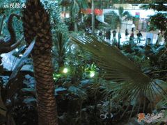 环境-绿色时代大酒店