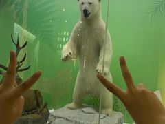 -国家自然博物馆