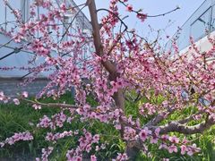 -兴芮温泉度假区