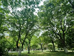 -明故宫遗址公园