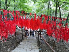 -帽儿山风景区