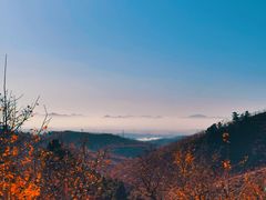 -遵化市禅林寺古银杏风景园
