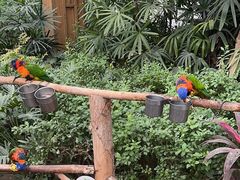 -南宫五洲植物乐园