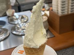 -野人先生Gelato(上海长宁龙之梦店)