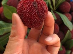 -西郊国际农产品交易中心