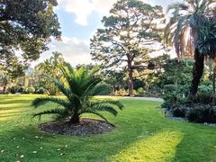 -墨尔本皇家植物园