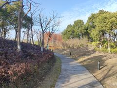 -春花秋色城市公园