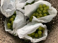 -马陆小张葡萄园农家乐