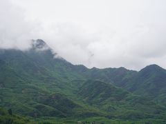 -天目山大树王景区